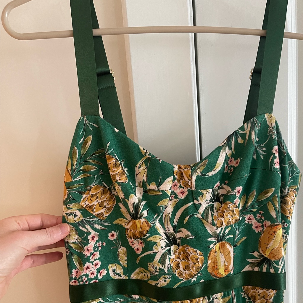 Nwt Allen Schwartz Willow Bustier Gown W Pineapple Print